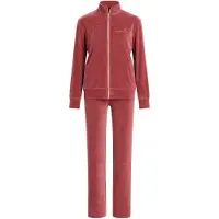 Goldenbay Pyjama 'Dandelion' rose ancienne