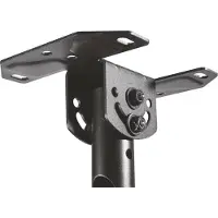 Aisens Ct43tse-053 23-43'' Support TV pour plafond 50kg Noir Noir One Size