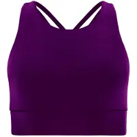 Winshape Soutien-gorge de sport ' SB103C ' prune