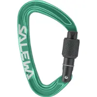 Salewa Mousqueton Ortles Screw