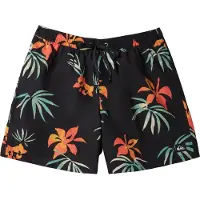 Quiksilver Mix Volley 15'' Short de bain Multicolore S Homme Multicolore S