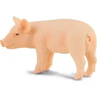 Collecta 88063 Porcelet debout 5 cm Ferme
