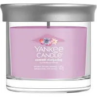 Yankee candle Summit Stargazing bougie parfumée Signature 122 g
