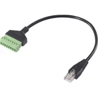 Renkforce Fiche RJ45 8P8C sur 8 pôles Connecteur (0.30 m)