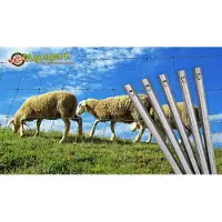 Aquagart 250 ancrages de clôture profil en W, ancrages de sol pour clôture de protection contre la faune sauvage, clôture forestière, clôture de pâturage, 70 cm