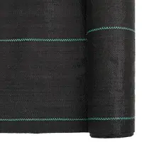 vidaXL Membrane anti-mauvaises herbes noire 1,5 x 100 m PP