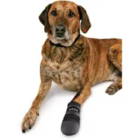 Trixie Walker Care - Chaussures pour chien - XXXL