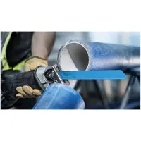 Bosch EXPERT 2608900383 - EXPERT Lame de scie sabre S1750RD Cement Cast Iron