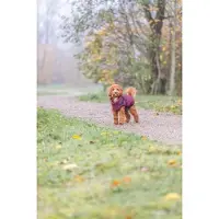 Trixie Manteau Pour Chien Pirou