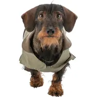 Trixie Hermy Dog Jacket Vert 43 cm