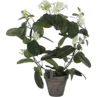 Mica Decorations Plante Artificielle Stephanotis en Pot de Fleur Stan - H50 x Ø40 cm - Blanc
