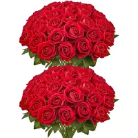 Vevor Rose Artificielle Lot de 60 Fleurs Artificielles 508 mm Bouquets de Fausses Fleurs Aspect Réaliste avec Tête de Rose 70 mm