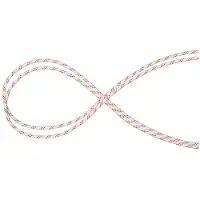 Mammut Performance Static 10 Mm Rope Rouge 50 m
