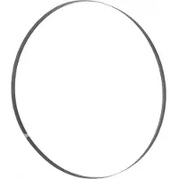 Holzmann Lame de scie à ruban pour HBS230ECO et HBS230HQ - 1575 x 8 x 0.65 mm - 14 dents par pouce