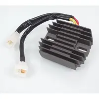 ELECTROSPORT Régulateur Redresseur De Tension Pour Moto Ducati 600 Monster Après 2004 Esr530 / 673530 / 160801 Neuf