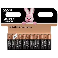 Duracell Batteries alcalines Simply AAA, pack de 12