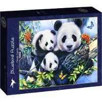 Bluebird Puzzle Puzzle Panda Family - 1000 pièces