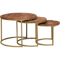 vidaXL Tables basses Nesting 3 pcs brun miel bois massif mangue et acier