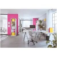 Leitz WOW - Classeur à anneaux (A4, 32 mm, 1 pcs)