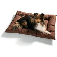 Hunter Pet Matelas Gent