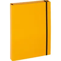 Pagna Classeur à levier A4 Basic jaune (A4, 1x)