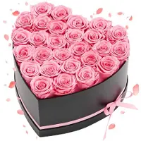 Vevor Rose Éternelle 27 Fleurs Éternelles Préservées Boîte Forme de Cœur