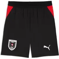 Puma Pantalon de sport 'Österreich 2026' rouge / noir / blanc
