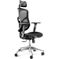 Diablo V-basic Gaming Chair Noir