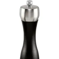 Peugeot moulin à sel 20cm 17163 fidji noir mat