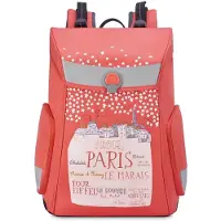 Delsey Back To School 15.6l Backpack Rose