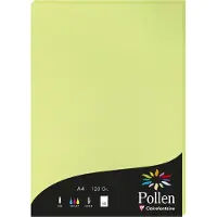 Pollen Clairefontaine Pollen - Vert bourgeon - A4 (210 x 297 mm) - 120 g/m² - 50 feuille(s) papier uni