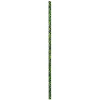 BEAL Corde Spelenium Unicore 8.5 Mm