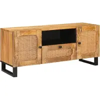 vidaXL Meuble TV avec rangement Marron 105 x 33 x 46 cm Bois massif Mango