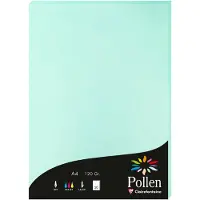 Pollen Papier