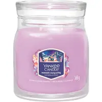 Yankee candle Summit Stargazing bougie parfumée Signature 368 g
