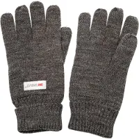 Whistler Gants Roumat Thinsulate Knit