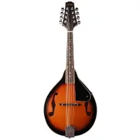 Stagg M20