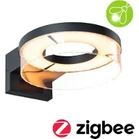 Paulmann Applique murale d'extérieur LED Capera Détecteur de mouvement crépusculaire (IR) insectifuge