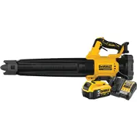 DeWalt DCMBL562N-XJ Batterie 5,0 Ah Kit de Démarrage