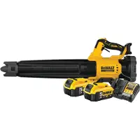 DeWalt DCMBL562N-XJ Batterie 5,0 Ah (2x) Kit de Démarrage
