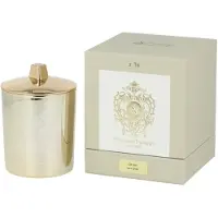 Tiziana Terenzi Orion Candle 170g