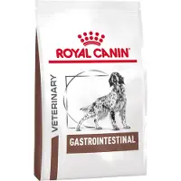 Royal Canin Gastro Intestinal Chien - 2 x 15 kg
