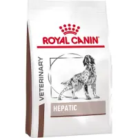 Royal Canin Hepatic Chien - 12 kg + 12 x 420 g