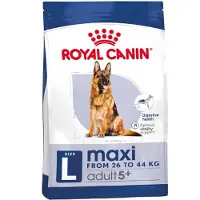 Royal Canin Maxi Adult 5+ croquettes pour chiens âgés de 5 à 8 ans, grandes races 15 kg