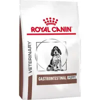 Royal Canin Gastro Intestinal Puppy Chien - 2 x 10 kg