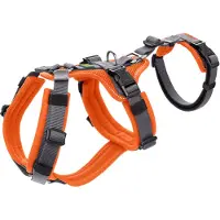 Hunter Harnais de sécurité pour chasseur Maldon - M - Orange/gris