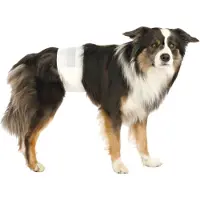 Trixie Couches pour chien mâle S–M 30–46 cm 2x12 pièces