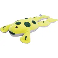 Beeztees Hide And Seek Grenouille