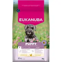 Eukanuba Puppy Small Breeds Chicken 3 kg nourriture sèche pour chiots de petites races riche en poulet frais