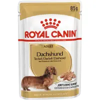 Royal Canin Teckel Adult - 12 x 85 g